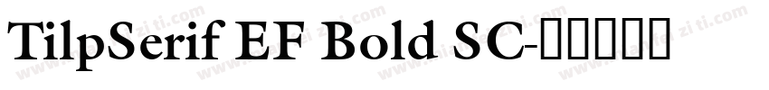 TilpSerif EF Bold SC字体转换